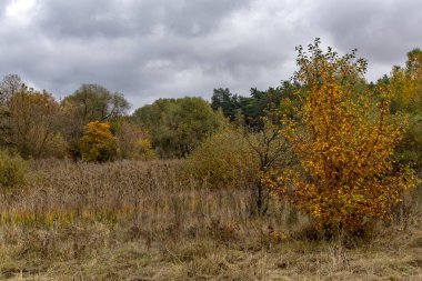 Bulutlu bir günde doğanın sonbahar hali