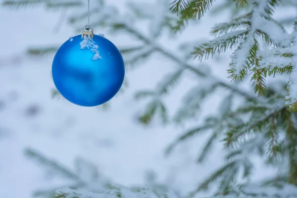 Bola Natal Azul Uma Árvore Natal Coberta Neve — Fotografia de Stock