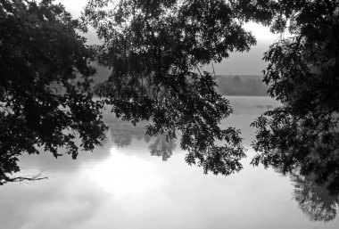  Sonbaharda gün batımı. Siyah ve beyaz resim.                              