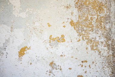 Duvardaki alçı ve boyayı nötr, sakin ve soyut bir arka plan olarak soyuyorlar..