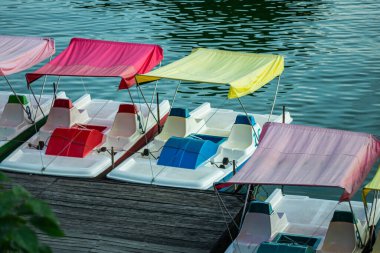 Katamaranlar (su bisikletleri) küçük bir nehre park ettiler..