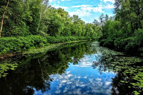 Reflections of the sky and clouds in mirror-clear water