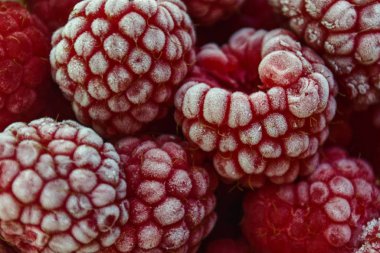 Soğuk beyaz ile kırmızı ahududu. Donmuş berry