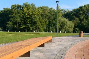 Temiz yeşil Park ahşap Bank