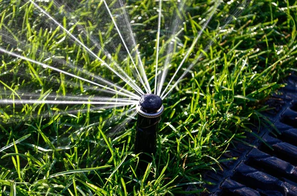 Lawn Watering Sprays Water Green Grass Close — Stock Photo, Image