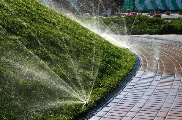 Irrigazione Prati Spruzzando Acqua Prato Nel Parco — Foto Stock