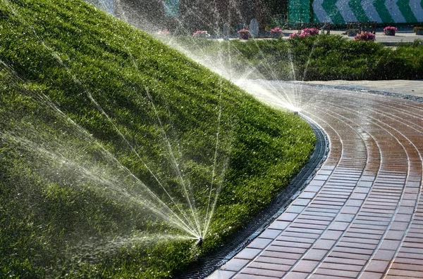 Arrosage Des Pelouses Pulvérisation Eau Pelouse Dans Parc — Photo