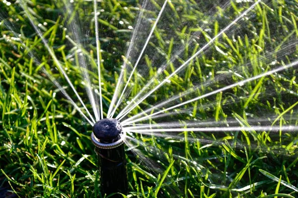 Lawn Watering Sprays Water Green Grass Close — Stock Photo, Image