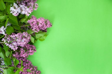 Yeşil arka planda yaprakları olan leylak rengi..