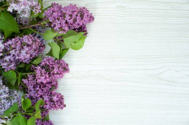 Gri ahşap arka planda leylak.