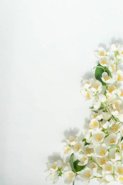 Dikey fotoğraf. Yasemin çiçeklerinin bileşimi.