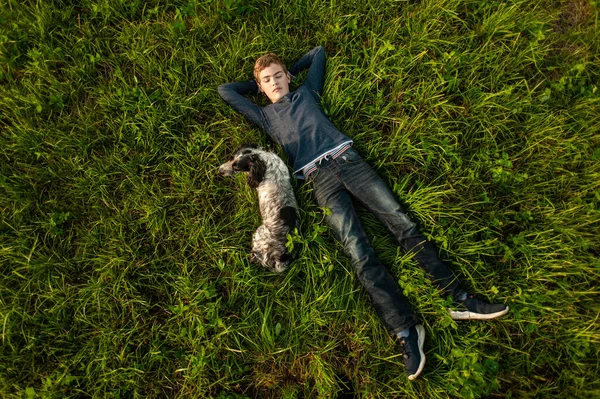 Een tienerjongen ligt op het groene gras van een grasveld met zijn geliefde hond Spaniel. Zicht van bovenaf. Vriendschap van een kind en een hond. — Stockfoto