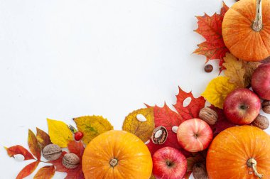 Hasat et. Şükran Günü. Sonbahar meyveleri, sebzeler, fındıklar ve yaprakların hafif arka planda bileşimi. Yukarıdan bak. Metin için bir yer.