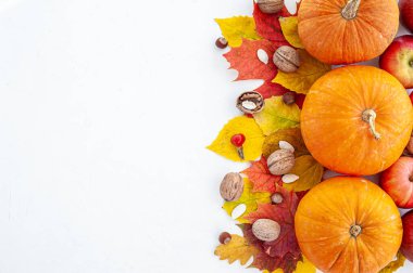 Hasat et. Şükran Günü. Sonbahar meyveleri, sebzeler, fındıklar ve yaprakların hafif arka planda bileşimi. Yukarıdan bak. Metin için bir yer.