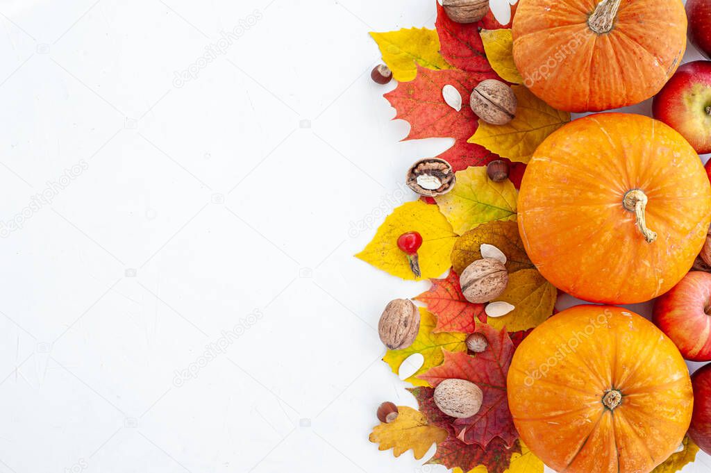 Harvest. Thanksgiving. The composition of autumn fruits, vegetables, nuts and leaves on a light background. View from above. A place for text.