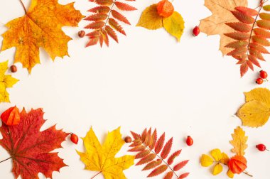 Sonbahar yaprakları. Sonbahar yaprakları, meyveler ve fındık bileşimi. Yukarıdan görüntüle.