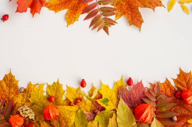 Sonbahar yaprakları. Sonbahar yaprakları, meyveler ve fındık bileşimi. Yukarıdan görüntüle.