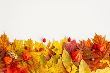 Sonbahar yaprakları. Sonbahar yaprakları, meyveler ve fındık bileşimi. Yukarıdan görüntüle.