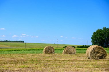 Mavi gökyüzü ve bulutlar az miktarda karşı hasat saman rulo ile yaz buğday alanı
