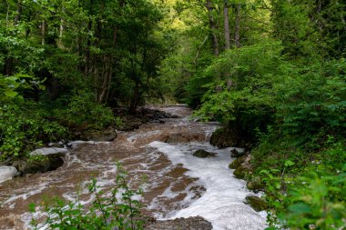dağ nehri yeşillik ve taşlar bir sürü