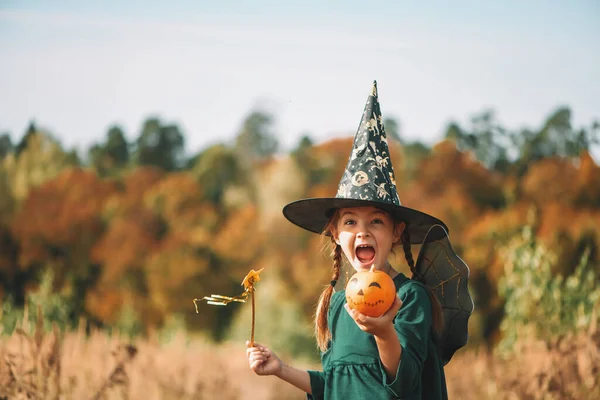 Miúdos do Halloween. Menina bonito em um chapéu segurando uma abóbora. Menina engraçada em um traje de carnaval caminha no campo em um outono — Fotografia de Stock