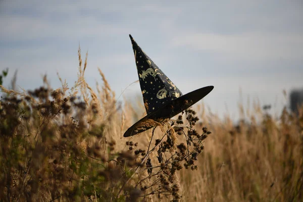Güneşli bir sonbahar gününde karnaval siyah şapkası sahada