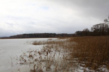 Donmuş gölün kıyısında