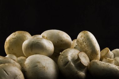 Siyah arka planda mantarlar