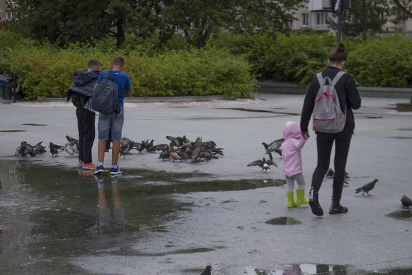 Square in 70 yıldönümü Kaliningrad regionnear Leningrad bölge Güzel Sanatlar Müzesi, Rusya, Kaliningrad