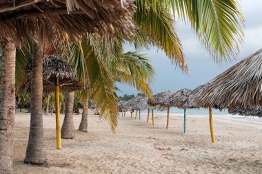 Küba, Caribbea palmiye ağaçları altında Plaj hattı