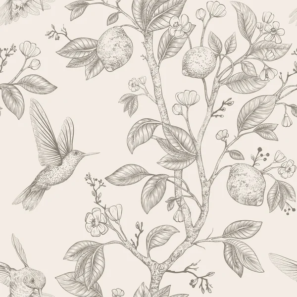 Patrón de boceto vectorial con pájaros y flores. Colibríes y flores, estilo retro, fondo de la naturaleza. Diseño de flores monocromáticas vintage para papel de envolver, cubierta, textil, tela, papel pintado — Archivo Imágenes Vectoriales