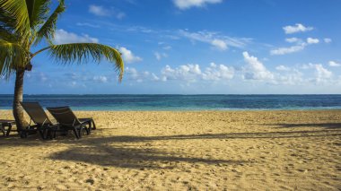 Atlantik Okyanusu'nun sahil Dominik Cumhuriyeti