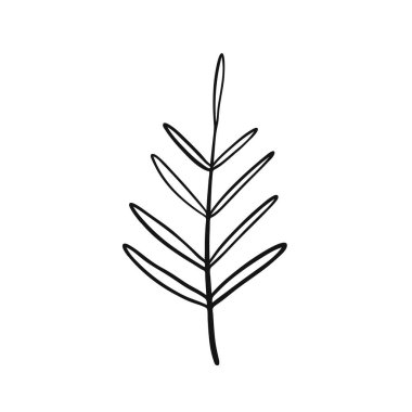 Yaprak çizimi, karalama tarzında. Beyaz arkaplanda vektör simgesi izole edildi