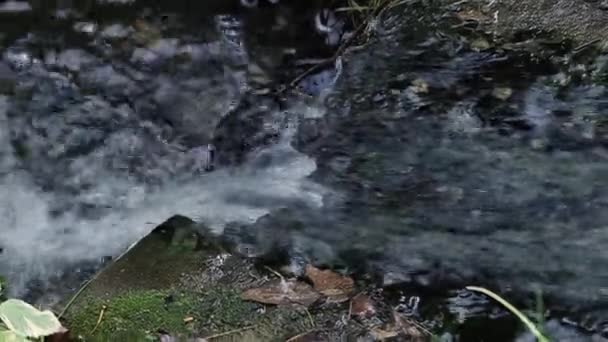 Dalla Fessura Scorre Ruscello Che Forma Bellissimo Ruscello Borbottante — Video Stock