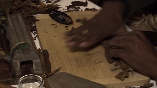 Производство Листьев Табака Кубинских Сигар — стоковое видео