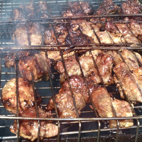 Szaszłyk Mięsa Wieprzowego Jest Smażone Ogień Kraty Podczas Pikniku Zbliżenie — Zdjęcie stockowe