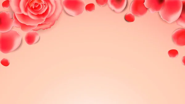 Marco de pétalos de rosa. Diseño de diseño para la decoración de productos promocionales . — Vector de stock
