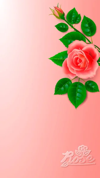 Realistyczna róża z bud i Artystyczny napis. Projekt layoutu do dekoracji kart na dzień ślubu lub urodzin lub rocznic. — Wektor stockowy