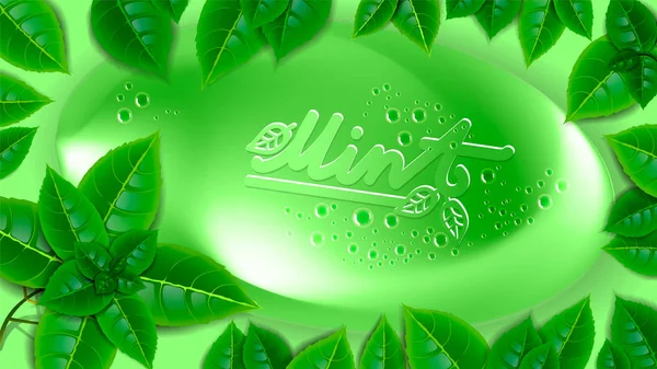 Зеленое мыло в рамке из свежих листьев мяты . — стоковый вектор
