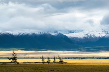 Karlı doruklarına bir görünümle manzara. Altay. Rusya.