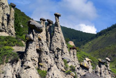 Dağ manzarası. Chulyshman Vadisi. Benzersiz bir doğal nesne - taş mantar. Altay. Rusya.