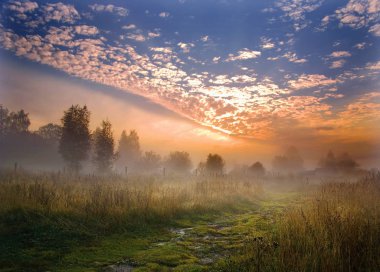 Bir sis ve ateşli bir gökyüzü ile yaz kırsal. Rusya. Moskova Bölgesi.