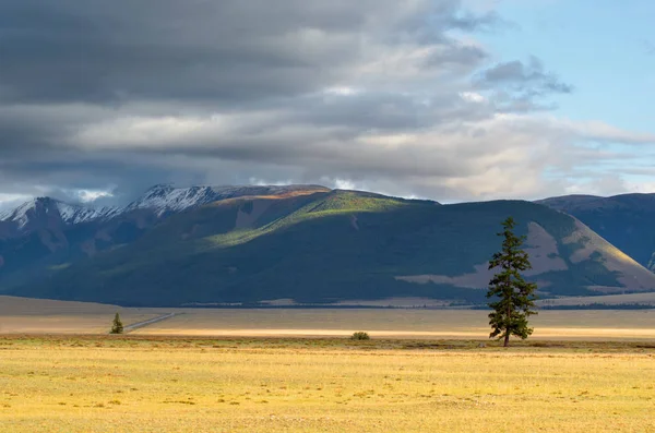 Dağ manzarası. Chuysky karayolu. Altay. Rusya.