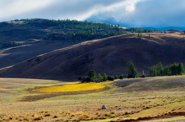 Dağ manzarası. Chuysky karayolu. Altay. Rusya.