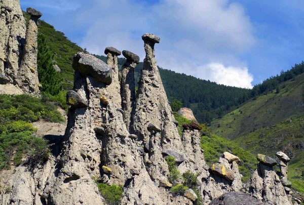 Dağ manzarası. Chulyshman Vadisi. Benzersiz bir doğal nesne - taş mantar. Altay. Rusya.