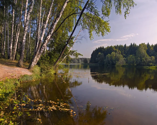 Nehrin Chernay Sunner manzara. Moskova Bölgesi. Rusya.