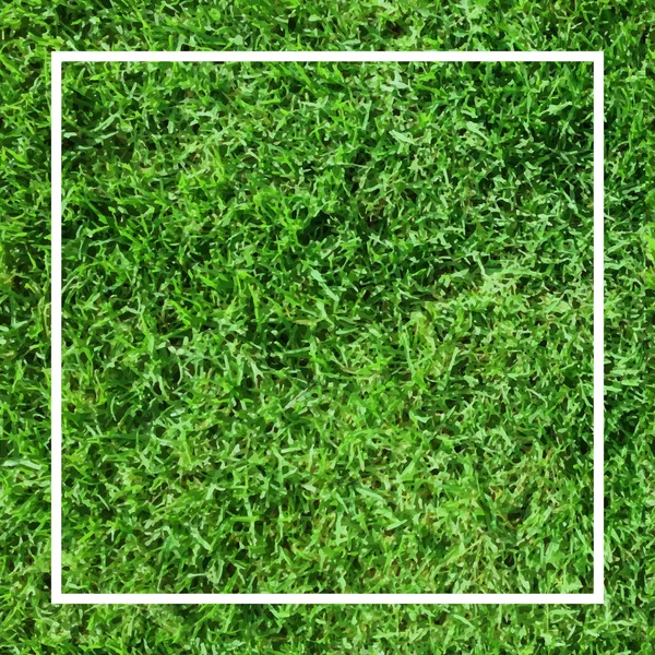 Fußballbanner Fußballplatz Grüner Gras Hintergrund Vektor Folge — Stockvektor