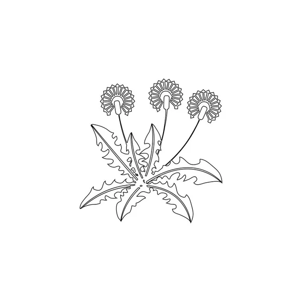 Dandelion Ilustrasi Ikon Vektor Datar Sederhana Outline Line Simbol Stroke - Stok Vektor