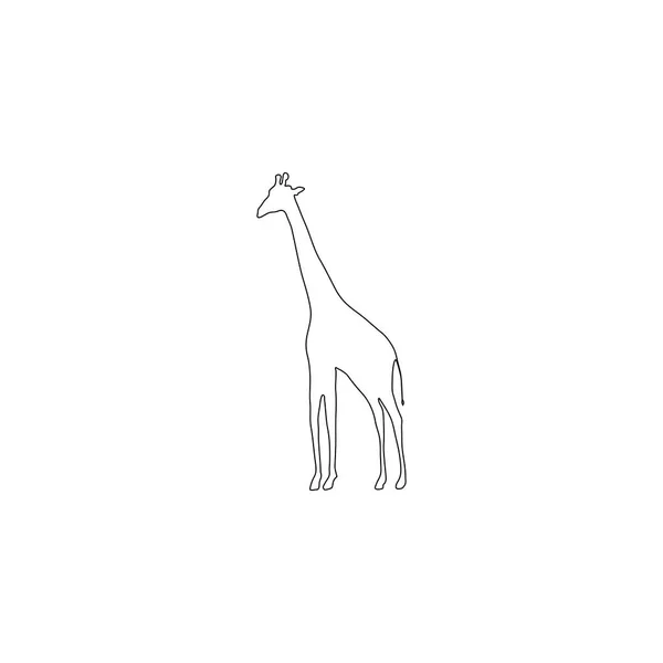 Giraffa Semplice Illustrazione Dell Icona Vettoriale Piatta Linea Contorno Simbolo — Vettoriale Stock