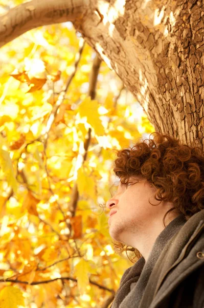Young Man Profile Portrait Standing Tree Oudoor Autumn Park — Stock Photo, Image